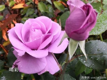 想要獲得突破性成長(cháng)，要打破思維的墻
