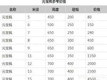 元寶楓的價(jià)格一路上漲，大規格優(yōu)質(zhì)苗一株能賣(mài)上萬(wàn)元