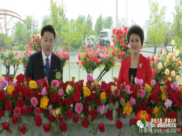 2022年第十三屆南陽(yáng)月季花會(huì )開(kāi)幕，南陽(yáng)電臺全媒體直播