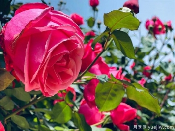 平?jīng)鲈录臼谢ㄎ幕途坝^(guān)圖集
