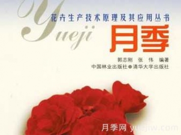 月季圖書(shū)：郭志剛《月季:花卉生產(chǎn)技術(shù)原理及其應用叢書(shū) 》