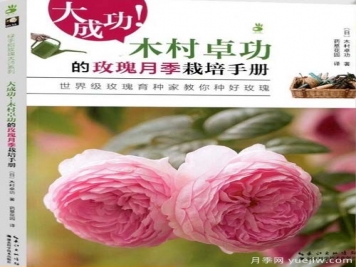 月季圖書(shū)：木村卓功《大成功！木村卓功的玫瑰月季栽培手冊 》