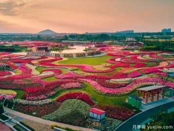 南陽(yáng)2023首屆世界月季博覽會(huì )，月季花開(kāi)迎客來(lái)