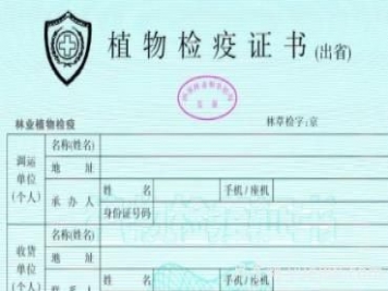 苗木三證一簽指的是什么？