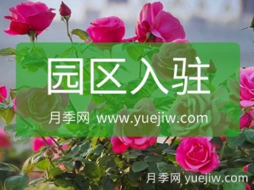園區入駐