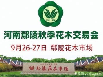 9月26日河南鄢陵第十屆秋季花木交易會(huì )舉辦