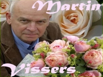 月季育種家：比利時(shí)Martin Vissers(馬丁維瑟斯，Viva苗圃)