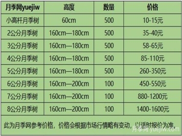南陽(yáng)月季樹(shù)苗圃_月季樹(shù)價(jià)格_月季樹(shù)多少錢(qián)一株