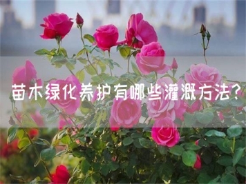 苗木綠化養護有哪些灌溉方法？