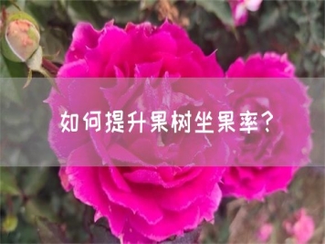 如何提升果樹(shù)坐果率？