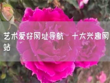 藝術(shù)愛(ài)好網(wǎng)址導航_十大興趣網(wǎng)站