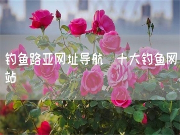 釣魚(yú)路亞網(wǎng)址導航_十大釣魚(yú)網(wǎng)站