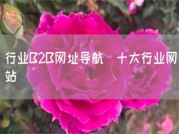 行業(yè)B2B網(wǎng)址導航_十大行業(yè)網(wǎng)站