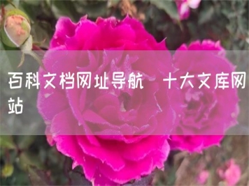 百科文檔網(wǎng)址導航_十大文庫網(wǎng)站