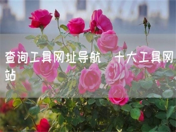 查詢(xún)工具網(wǎng)址導航_十大工具網(wǎng)站