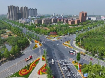 萬(wàn)株樹(shù)狀月季齊綻放，扮靚寧鄉城市新風(fēng)景