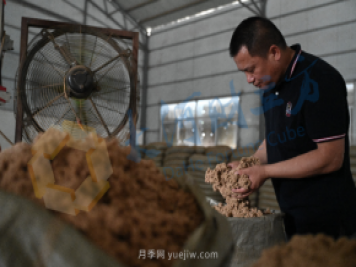 南陽(yáng)新一季艾草成熟了，90后顯現對艾制品購買(mǎi)力