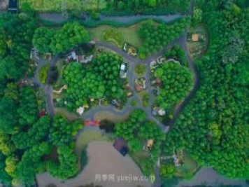 他把歐洲玫瑰莊園搬到中國，培育出樹(shù)上開(kāi)月季的奇特景觀(guān)