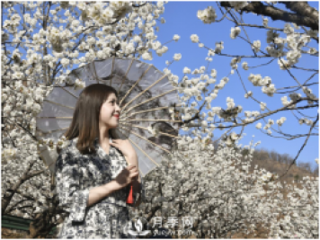 南陽(yáng)驚蟄時(shí)節，花紅柳綠又一春