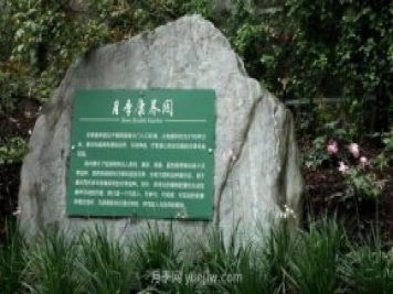 成都植物園也有月季園了，超美盛花期來(lái)啦