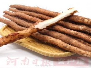 推動(dòng)河南農業(yè)“小特產(chǎn)”向“大產(chǎn)業(yè)”升級