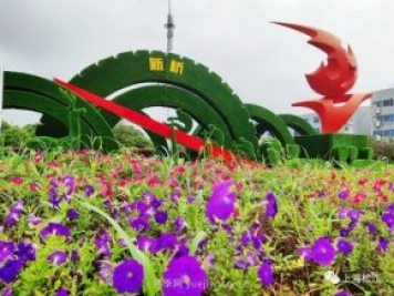 上海松江這里的花壇、花境“上新”啦！特色景觀(guān)升級！