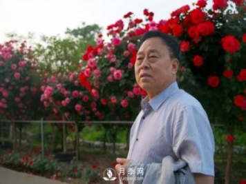 陜西韓城“月季王”——劉愛(ài)民