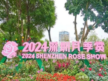 五園聯(lián)動(dòng)，2024深圳月季賞浪漫進(jìn)行中