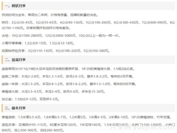 河南南陽(yáng)月季批發(fā)價(jià)格_基地圖片_月季產(chǎn)地報價(jià)表