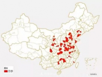 中國各城市市花大集合！月季是51個(gè)城市市花具首位