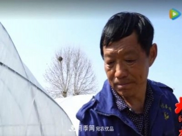 門(mén)外漢變成月季大師——南陽(yáng)市世源實(shí)業(yè)有限公司技術(shù)總監王懷青