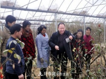 南陽(yáng)月季集團總經(jīng)理李付昌——月季大觀(guān)園里的拓荒者