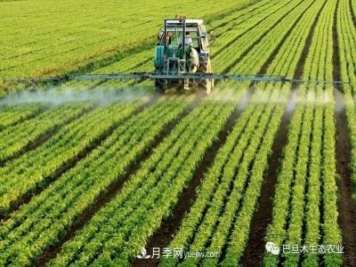 巴旦木生態(tài)農業(yè)：河南三門(mén)峽為什么適合種植巴旦木？