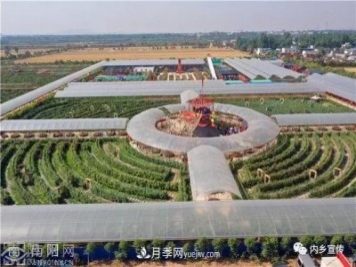 游玩好去處！內鄉縣灌漲鎮歐月花海風(fēng)情園盛妝開(kāi)園