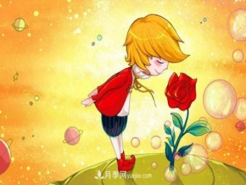 小王子愛(ài)的是“月季花”？