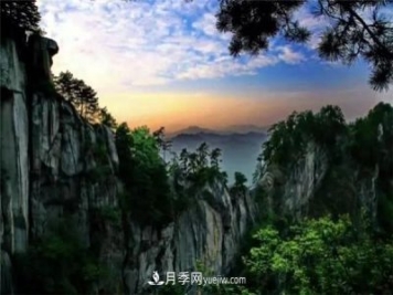 一縣一品公益助農，河南南召特色農產(chǎn)品辛夷