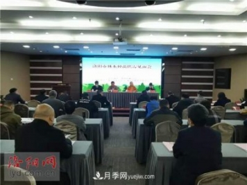 2.2億株！洛陽(yáng)市可供今冬明春國土綠化使用的苗木種類(lèi)齊全