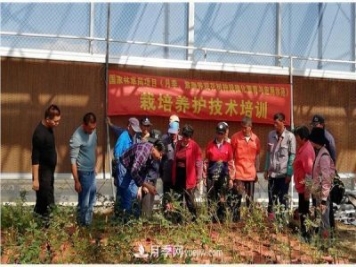上海崇明舉辦月季繁殖栽培及冬季養護技術(shù)培訓