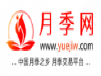 中國月季網(wǎng)，月季品種介紹和養護知識分享專(zhuān)業(yè)網(wǎng)站