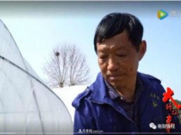 南陽(yáng)月季大師——王懷青