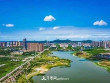 淮南市花、市樹(shù)是什么？是月季嗎？