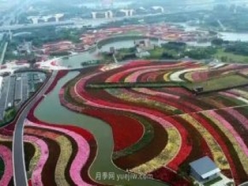 第十二屆南陽(yáng)月季花會(huì )4月29日開(kāi)幕，花事活動(dòng)提前報