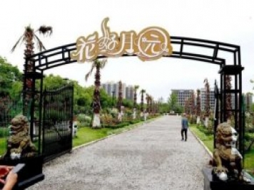 上海閔行區花好月園公園，萬(wàn)株月季怒放快來(lái)品