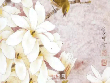 怎樣畫(huà)白玉蘭工筆畫(huà)，白玉蘭工筆畫(huà)詳細步驟