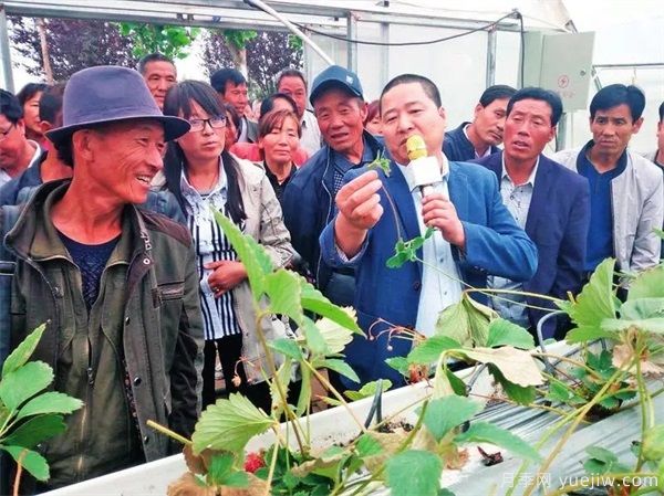 楊凌農科盛會(huì )淘出新品種 栽下致富新苗(圖3)