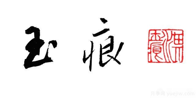 月季大藤本和小藤本都有哪些品種？栽種方式有沒(méi)有區別？(圖4)
