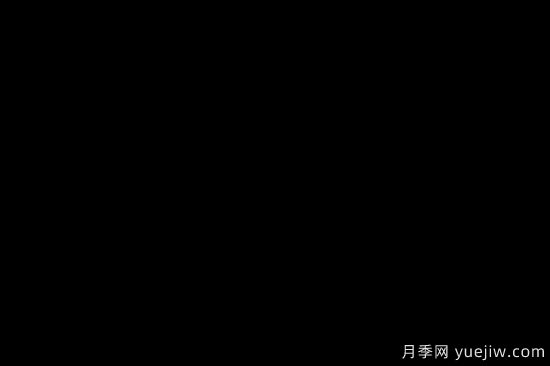 花卉在園林中的應用形式和特點(diǎn)是什么？(圖1)