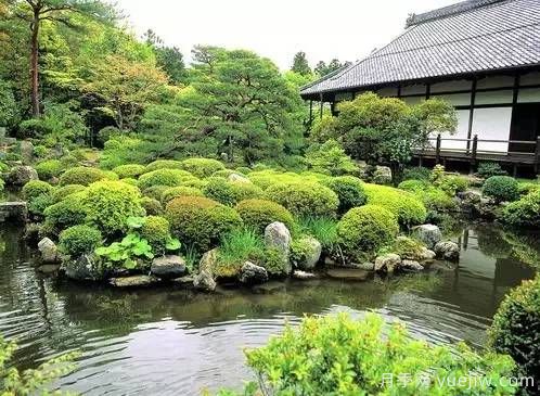 庭院設計與植物搭配的6大風(fēng)格和30種玩法(圖5)