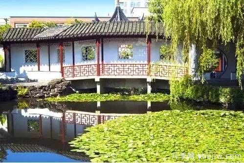 庭院設計與植物搭配的6大風(fēng)格和30種玩法(圖12)