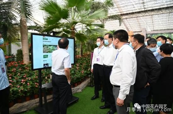 第21屆中國（青州）花卉博覽交易會(huì )暨第15屆山東省花卉交易會(huì )開(kāi)幕(圖2)